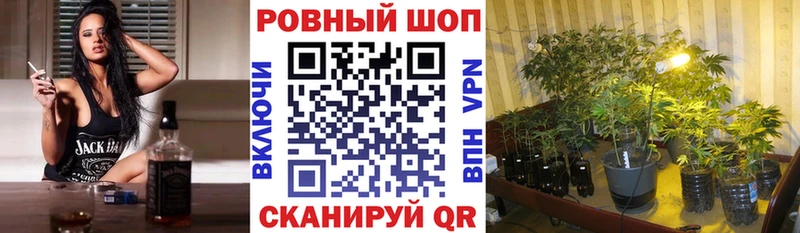 Где купить наркоту Нарьян-Мар Кетамин  Бошки Шишки  Cocaine  Амфетамин 