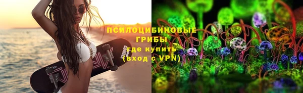 спиды Вяземский
