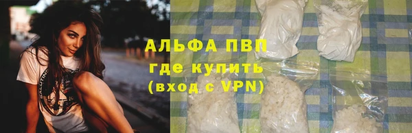 спиды Вяземский