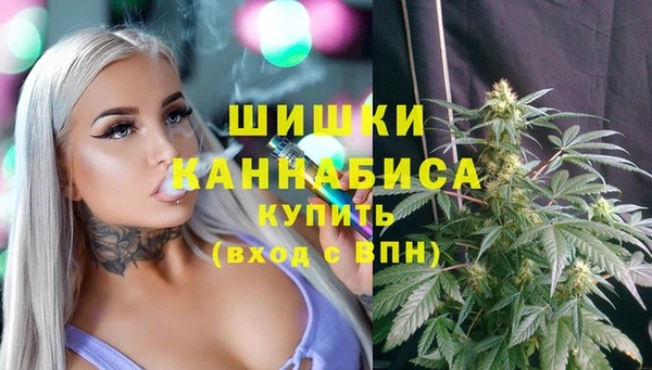 спиды Вяземский