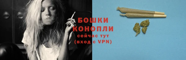 спиды Вяземский