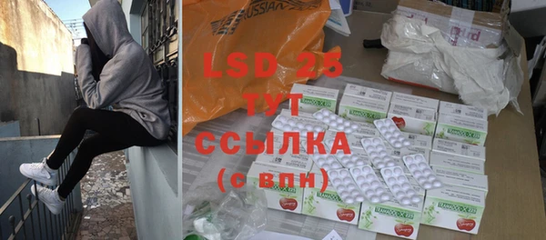 спиды Вяземский