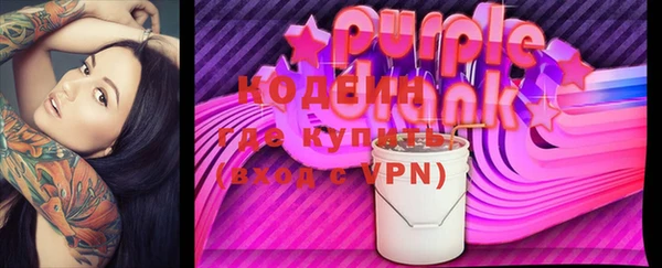 спиды Вяземский