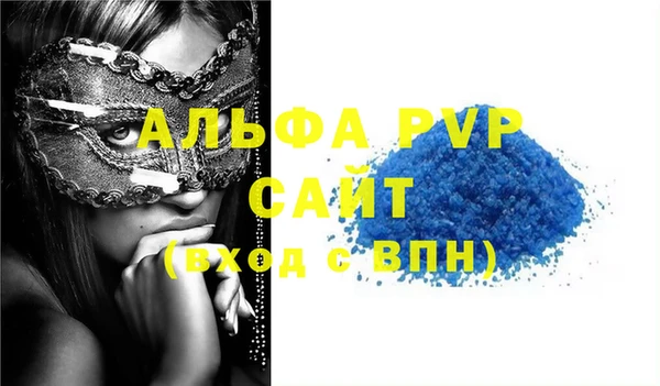 спиды Вяземский