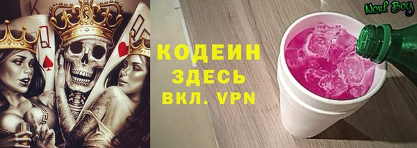 спиды Вяземский