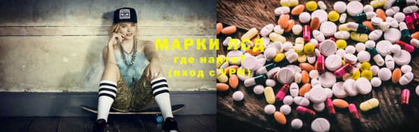 спиды Вяземский