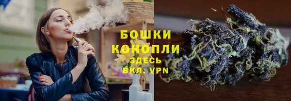 спиды Вяземский